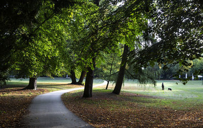 Road amidst trees in park