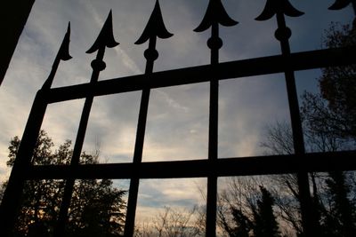 Low angle view of trees against sky