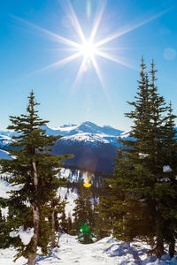 Scenic view of snowcapped mountains against bright sun