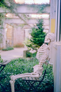 Close-up of bicycle in yard against building