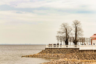 Bare trees by sea against sky