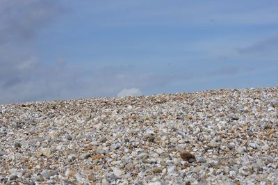 Rocks on beach against sky