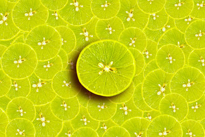 Full frame shot of green fruit on plant