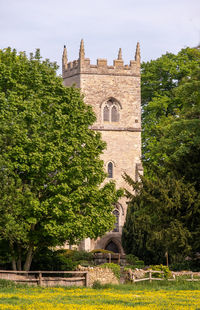 Trees and historic building against sky