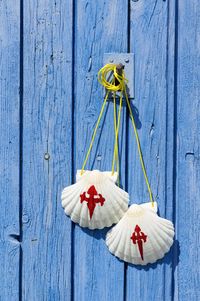 Close-up of pilgrim scallop shells on blue wooden door