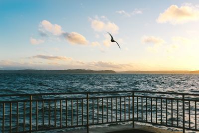 Scenic view of sea at sunset