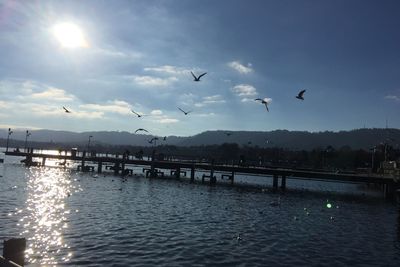 Birds flying over silhouette water against sky