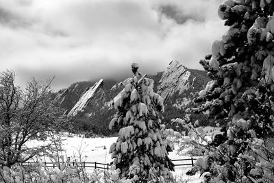 Scenic view of landscape against cloudy sky