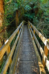 Railroad track in forest