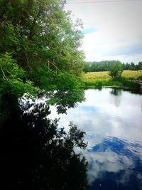 Scenic view of lake in forest against sky