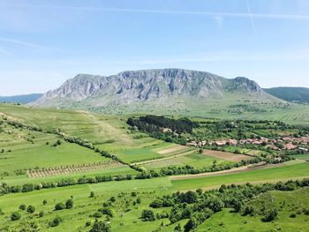 Scenic view of agricultural field against sky