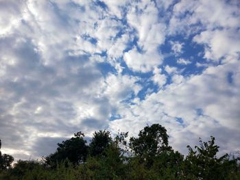 Low angle view of trees against cloudy sky