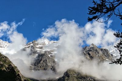 Low angle view of trees on mountain against sky