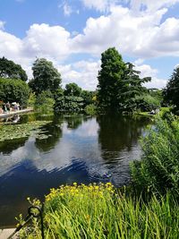 Reflection of trees in water