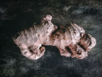 High angle view of rock formation in sea