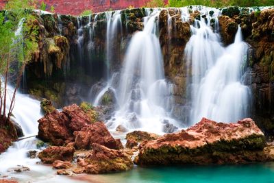 Scenic view of waterfall in forest