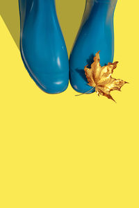 Autumn sale, minimal design with rubber blue boots and gold autumn leaf