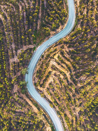 Aerial view of road amidst trees at forest