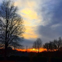 Silhouette bare trees on landscape against sky at sunset