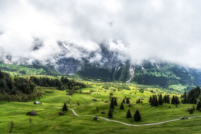 environment