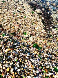 High angle view of pebbles on beach