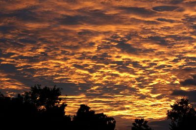 Low angle view of silhouette trees against dramatic sky