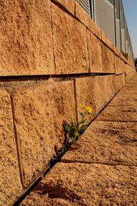 wall