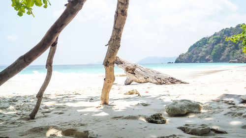 Scenic view of beach against sky