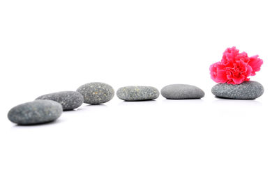 View of pebbles against white background