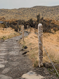 Bizarre black basalt rock formations in dritvík bay, djúpalónssandur, snæfellsnes, iceland.