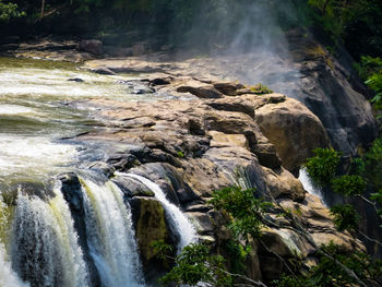 Scenic view of waterfall in forest