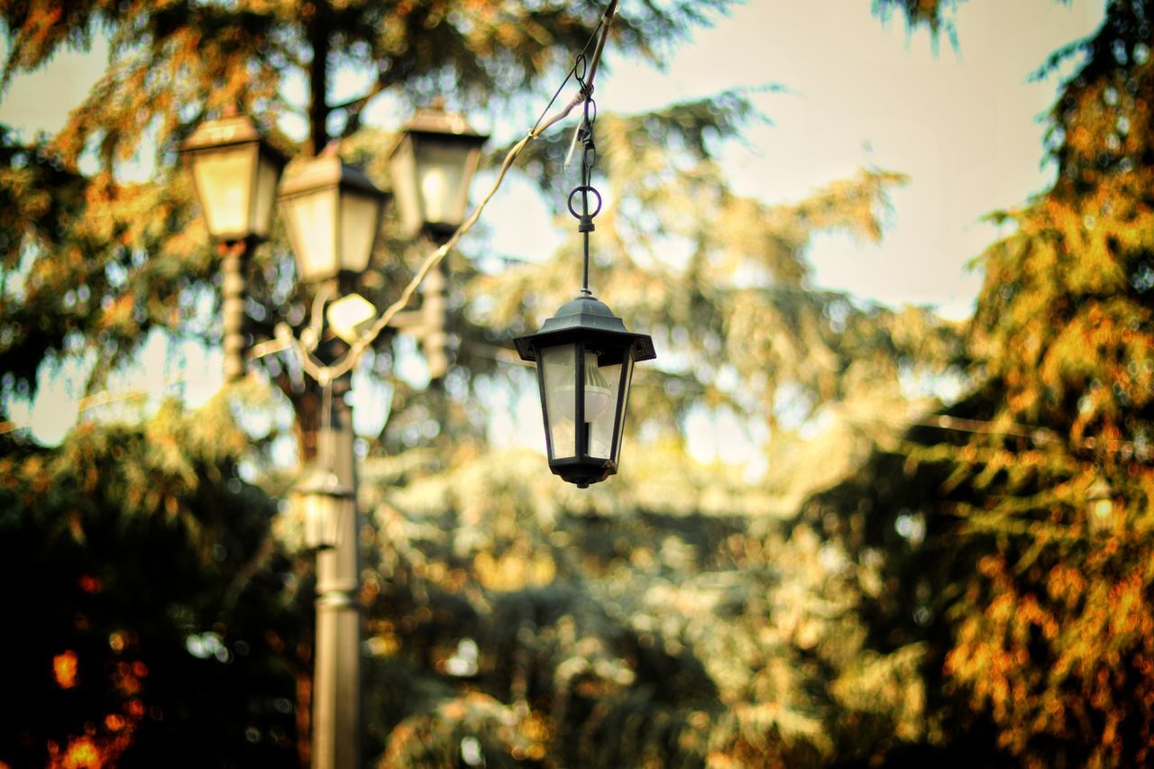lighting equipment, focus on foreground, hanging, tree, plant, no people, nature, low angle view, day, street light, outdoors, electric lamp, built structure, architecture, sunlight, selective focus, close-up, metal, electric light, light