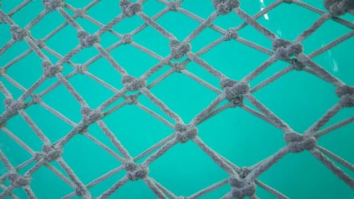 Full frame shot of fishing net undersea