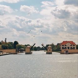 Bird flying over built structure