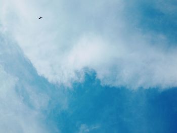 Low angle view of bird flying in sky