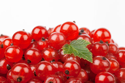 Close-up of cherry tomatoes against white background