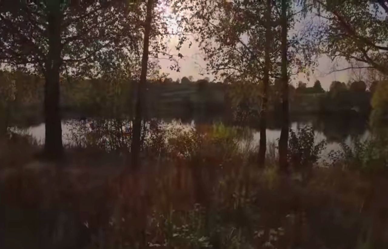 water, tree, reflection, tranquility, lake, plant, tranquil scene, beauty in nature, nature, scenics - nature, forest, no people, sky, non-urban scene, sunset, outdoors, growth, day, land, reflection lake