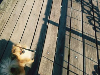 Close-up of wooden plank