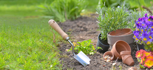 Potted plants on field