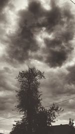 Low angle view of tree against cloudy sky