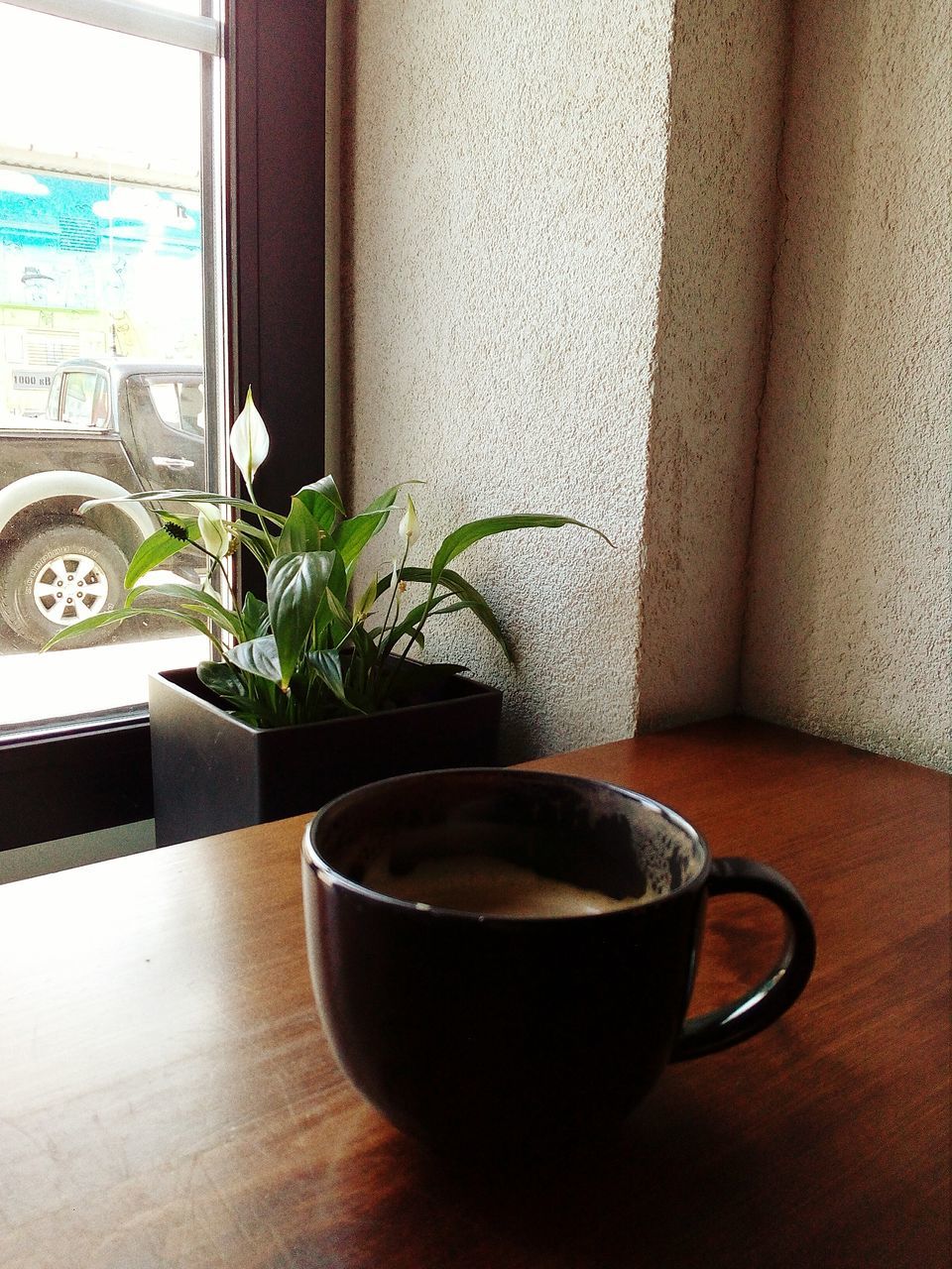 indoors, drink, food and drink, table, cup, refreshment, window, plant, potted plant, mug, no people, day, close-up, tea, freshness, nature, home interior, coffee cup, glass - material, coffee, crockery, tea cup, houseplant