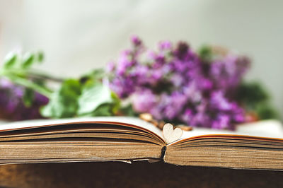 Close-up of purple flower