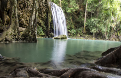 Scenic view of waterfall in forest