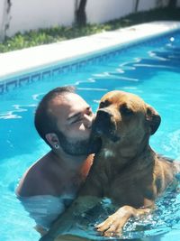 Dog swimming in pool