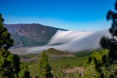 Panoramic shot of land and trees against sky