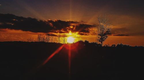 Silhouette tree against sky during sunset