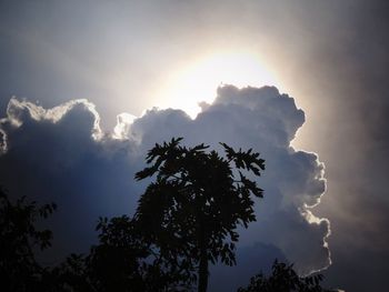 Low angle view of silhouette trees against sky during sunset