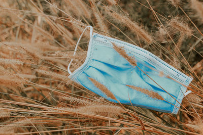 Close-up of surgical mask amidst crop