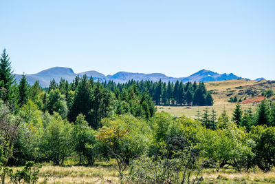 Scenic view of landscape against clear sky