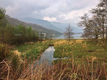 Scenic view of lake against sky